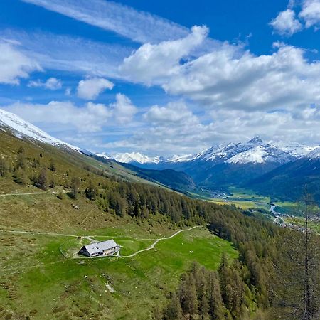 Alp Es-Cha Dadour Bed and Breakfast Madulain Eksteriør billede