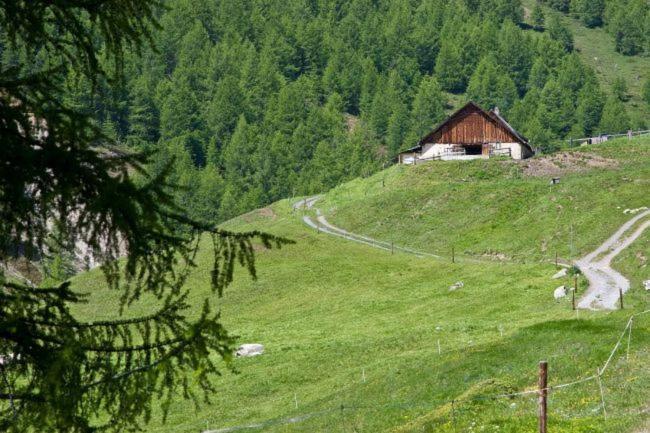 Alp Es-Cha Dadour Bed and Breakfast Madulain Eksteriør billede