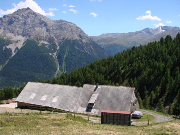 Alp Es-Cha Dadour Bed and Breakfast Madulain Eksteriør billede