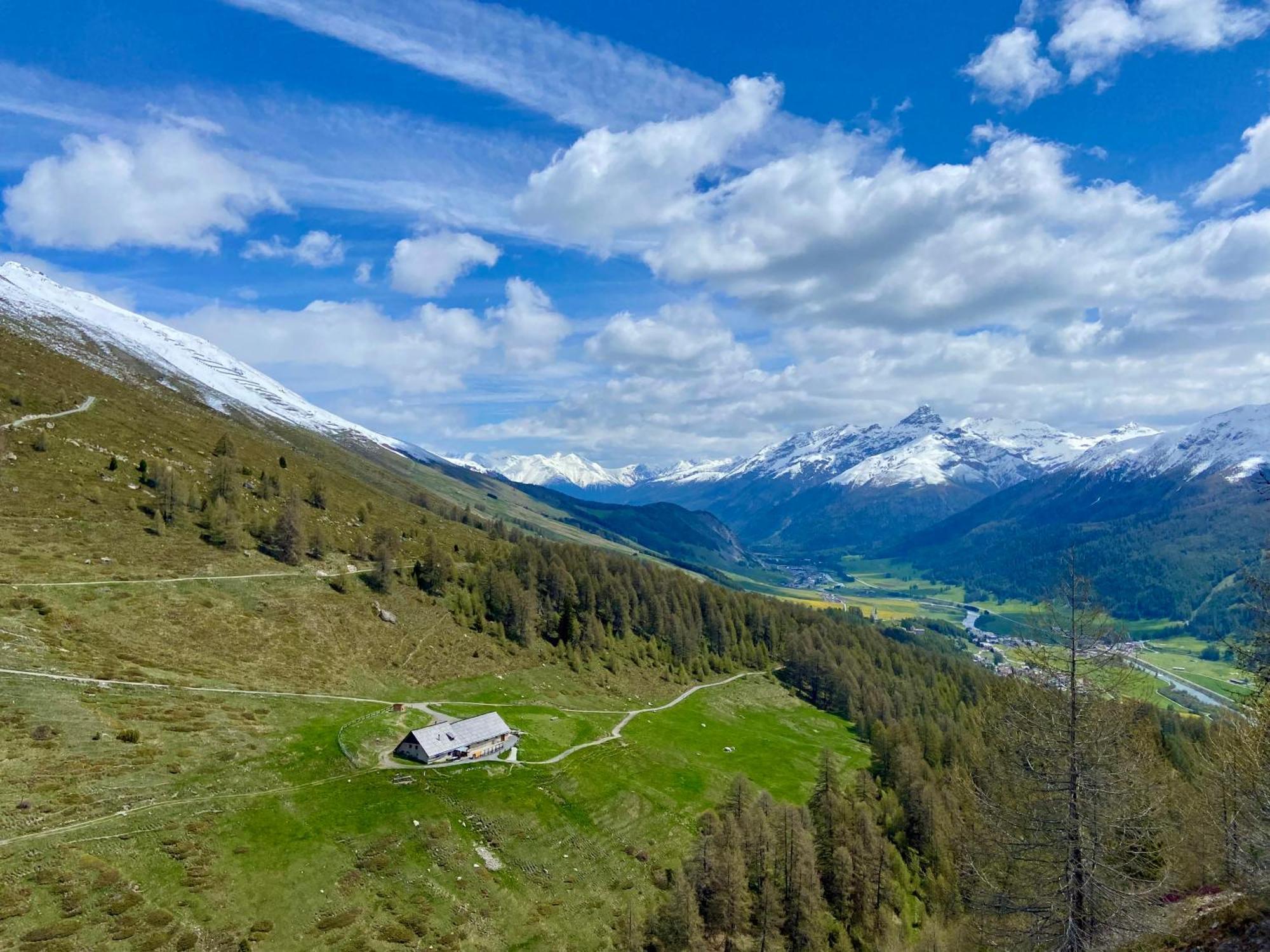Alp Es-Cha Dadour Bed and Breakfast Madulain Eksteriør billede